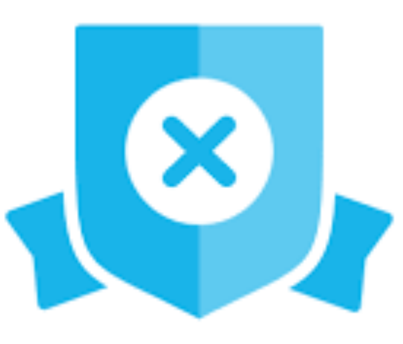 hire a xero advisor in canada